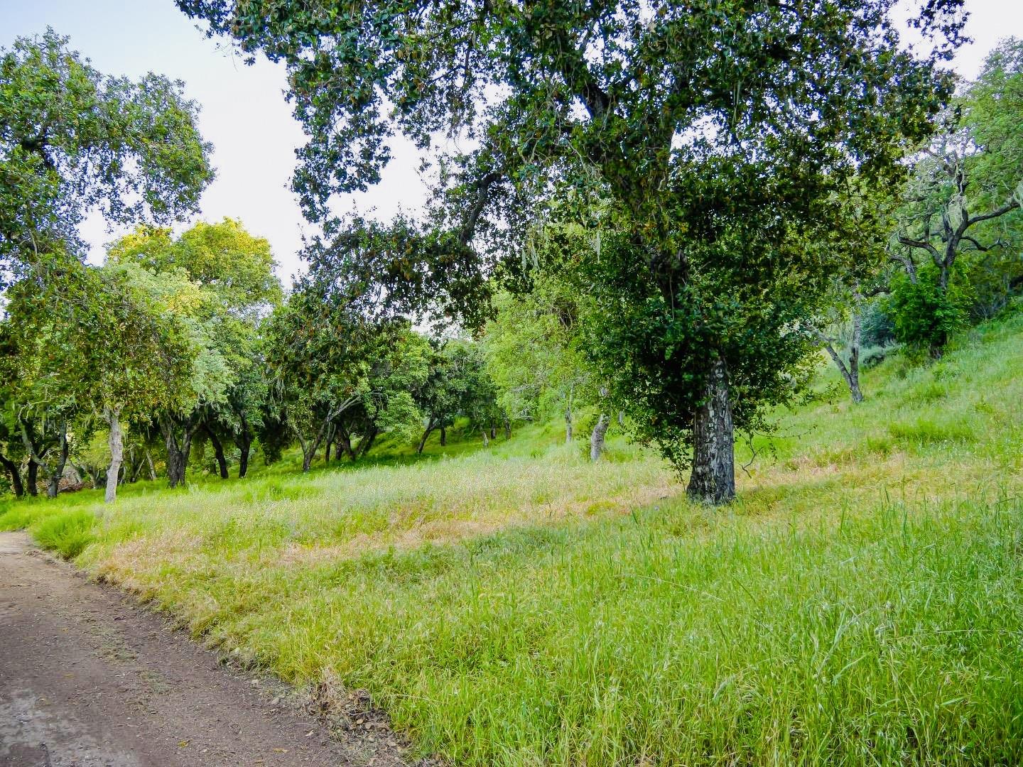 30010 Olivia Drive