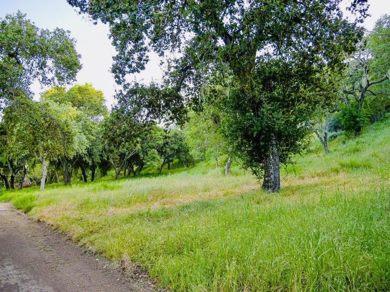 30010 Olivia Drive