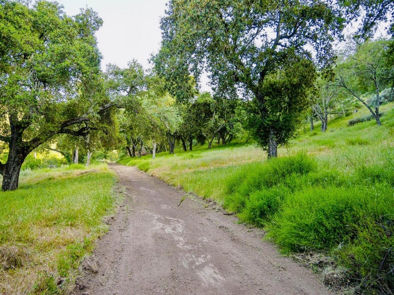 30010 Olivia Drive