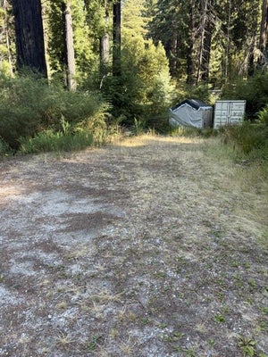 12135 ALBA RD, BEN LOMOND, CA 95005 - Image 06ad3e85ec9df83ca49f7409f5aa5adf/453128404