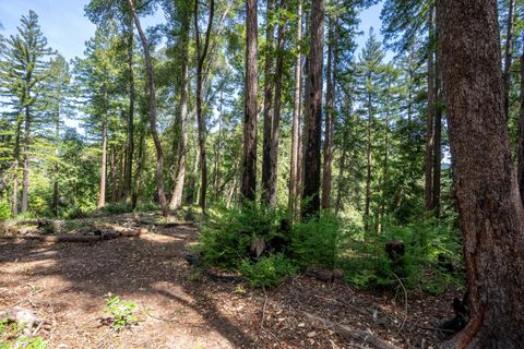 Tiny photo for 973 Forest Way, BROOKDALE, CA 95007 (MLS # ML82040746)