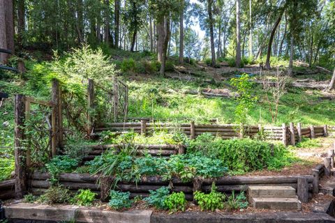 Tiny photo for 973 Forest Way, BROOKDALE, CA 95007 (MLS # ML82040746)