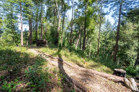 Tiny photo for 973 Forest Way, BROOKDALE, CA 95007 (MLS # ML82040746)