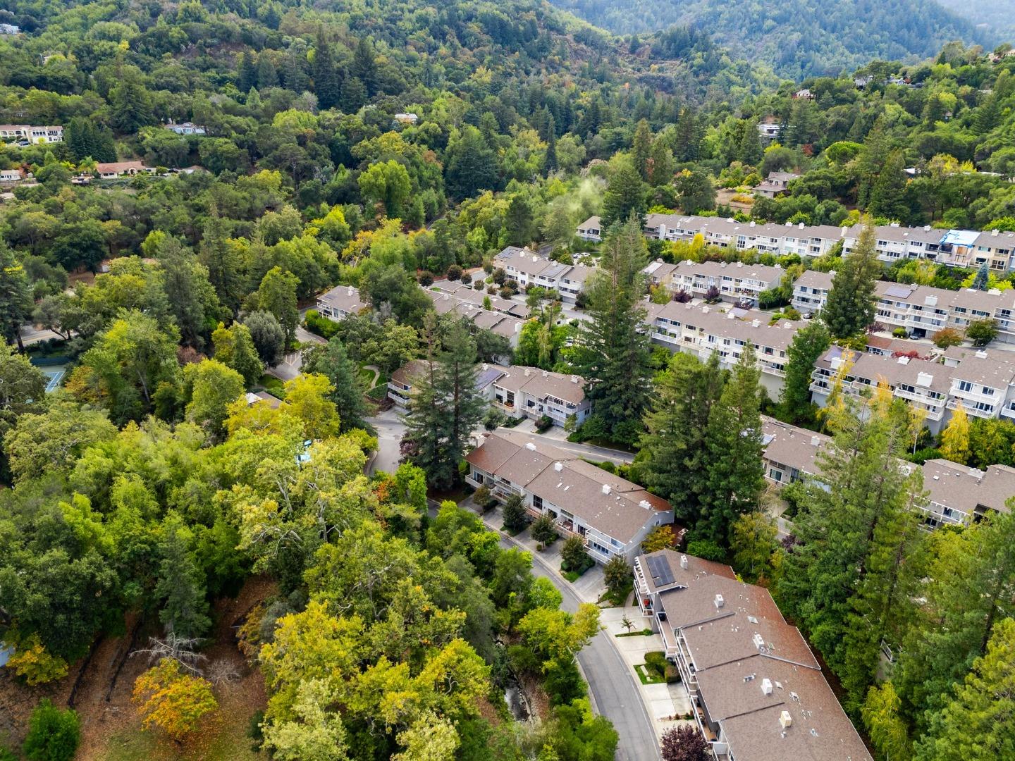 14676 Wild Berry Lane