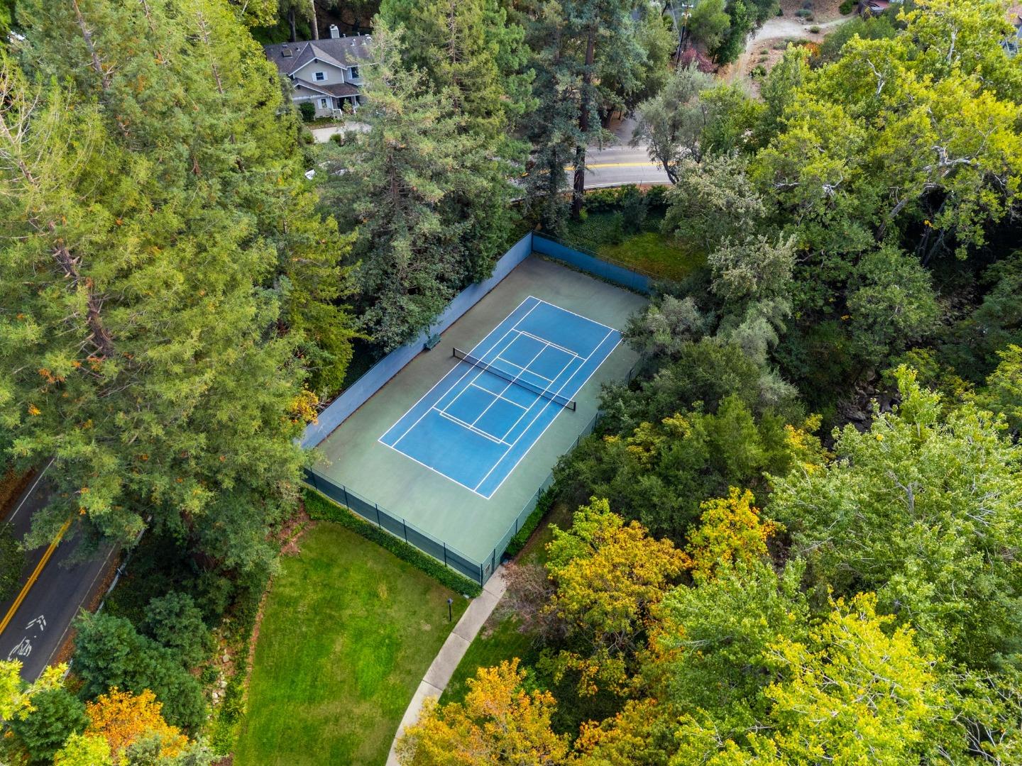 14676 Wild Berry Lane