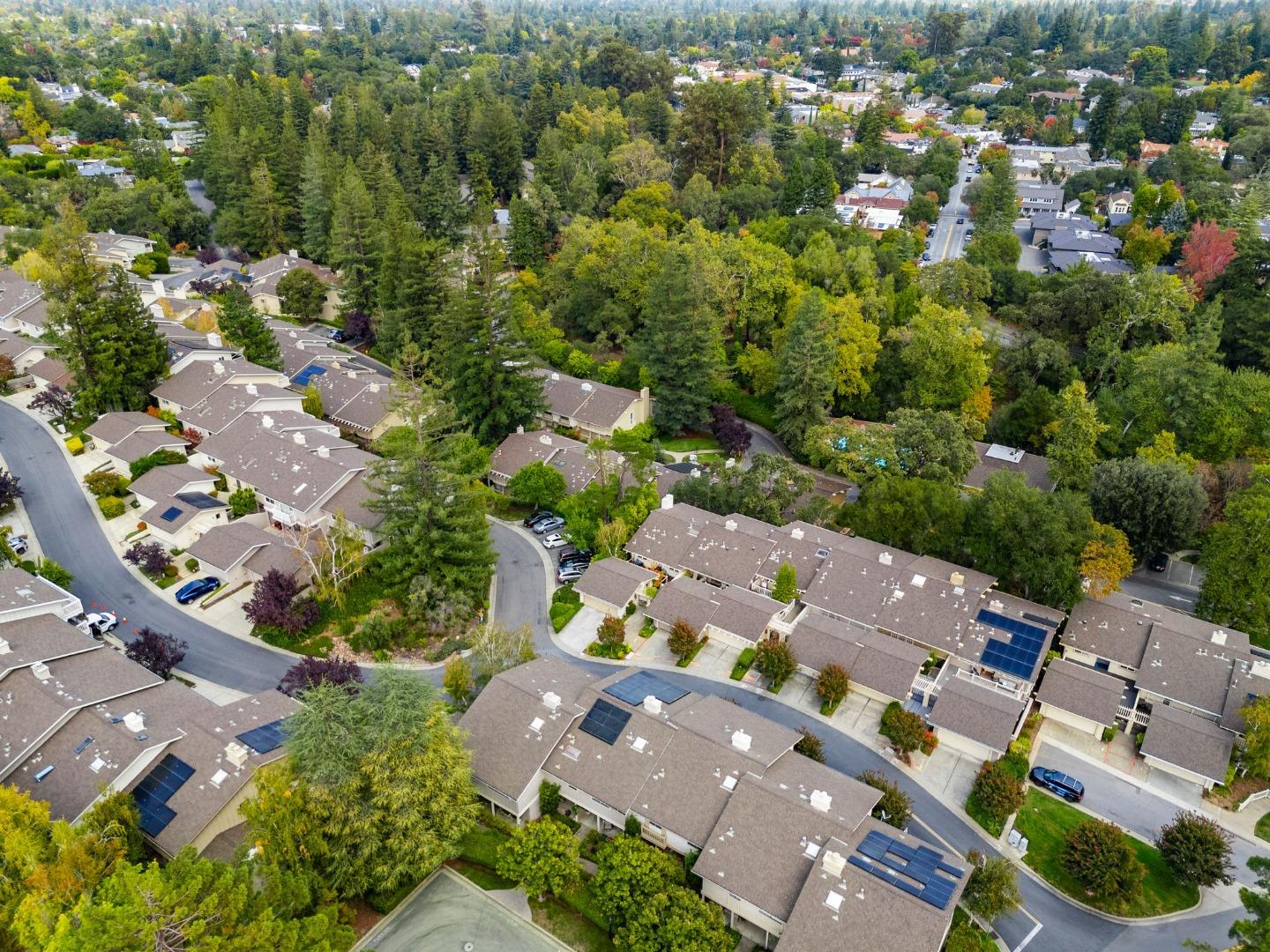 14676 Wild Berry Lane