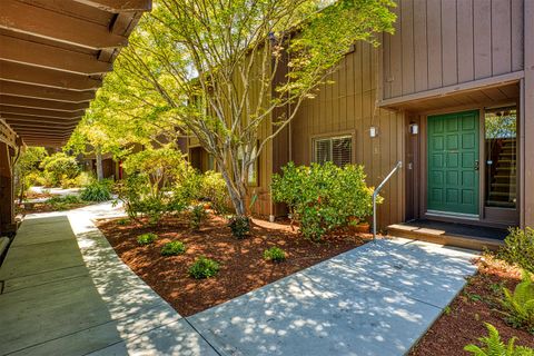 Photo of 138 Tree Frog Lane, SANTA CRUZ, CA 95060 (MLS # ML82045362)