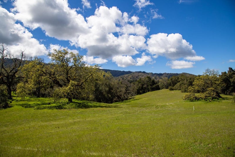 29 Arroyo Sequoia
