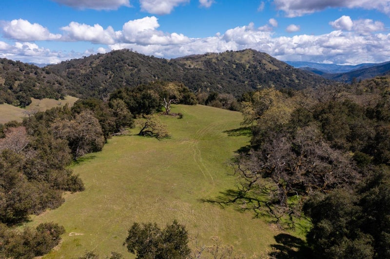 29 Arroyo Sequoia