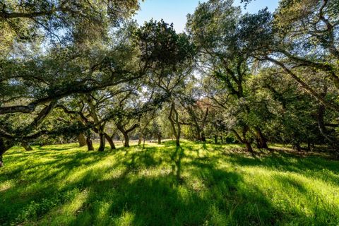 Tiny photo for 0 La Rancheria, CARMEL VALLEY, CA 93924 (MLS # ML82029278)