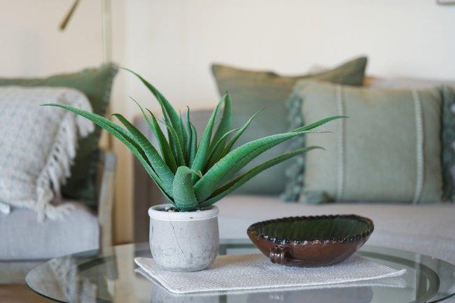 24390 San Marcos Road