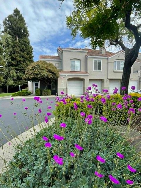 Photo of 20 Torregata Loop, SAN JOSE, CA 95134 (MLS # ML82043194)