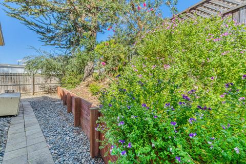 Tiny photo for 8710 Prunedale N RD #68, SALINAS, CA 93907 (MLS # ML82046175)