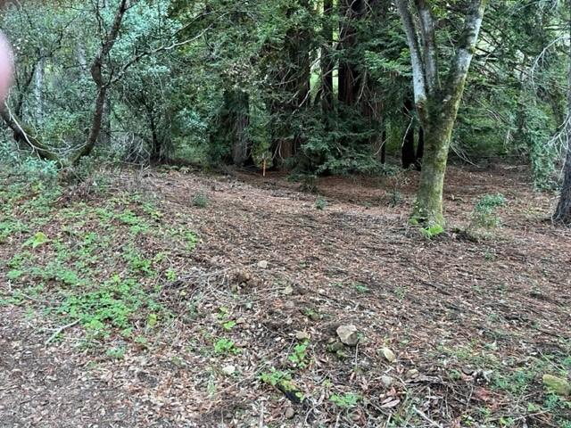 0 Redwood Retreat Road
