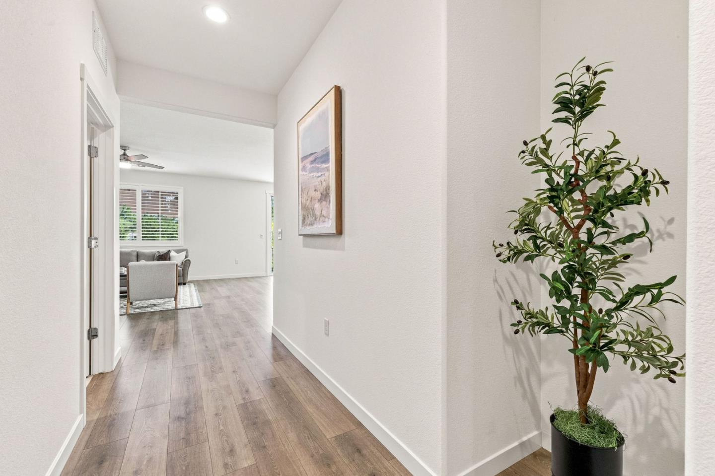 216 Raccoon Hollow Loop