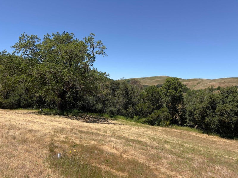 3 Ohlone Trace