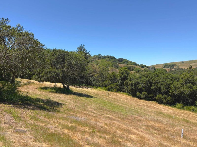 3 Ohlone Trace