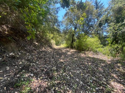 Tiny photo for 0 Deer Creek (Lot 21), BOULDER CREEK, CA 95006 (MLS # ML82035043)