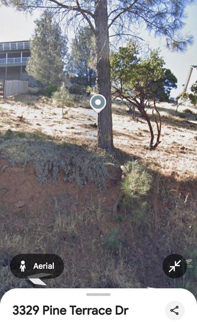 3329 Pine Terrace Drive