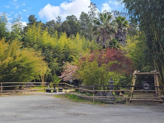 5601 FREEDOM BLVD, APTOS, CA 95003 - Image 0c985bd1fbeda5ec6b5c19c802cf69d0/3120162585