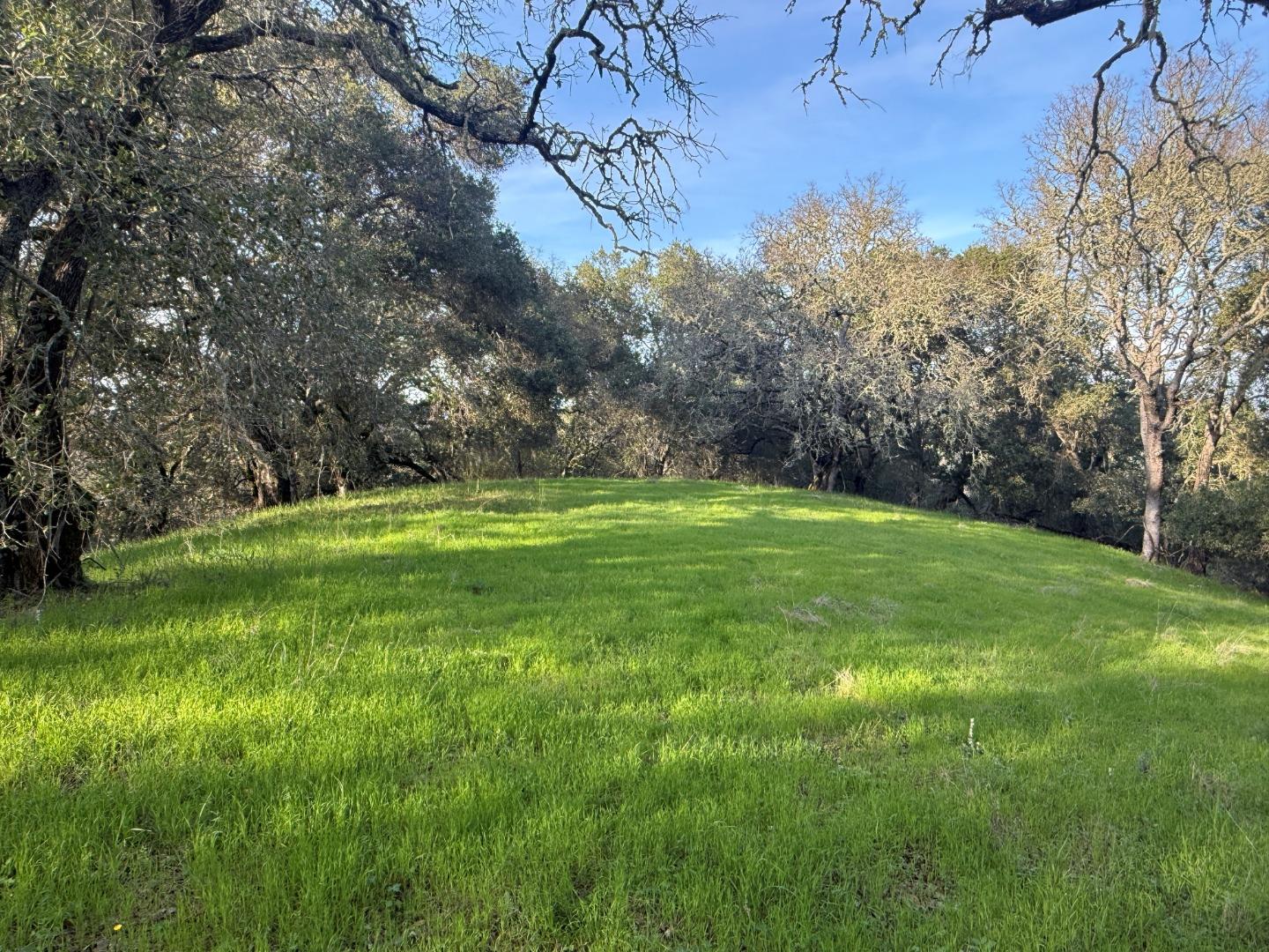 0 Chesbro Lake Drive