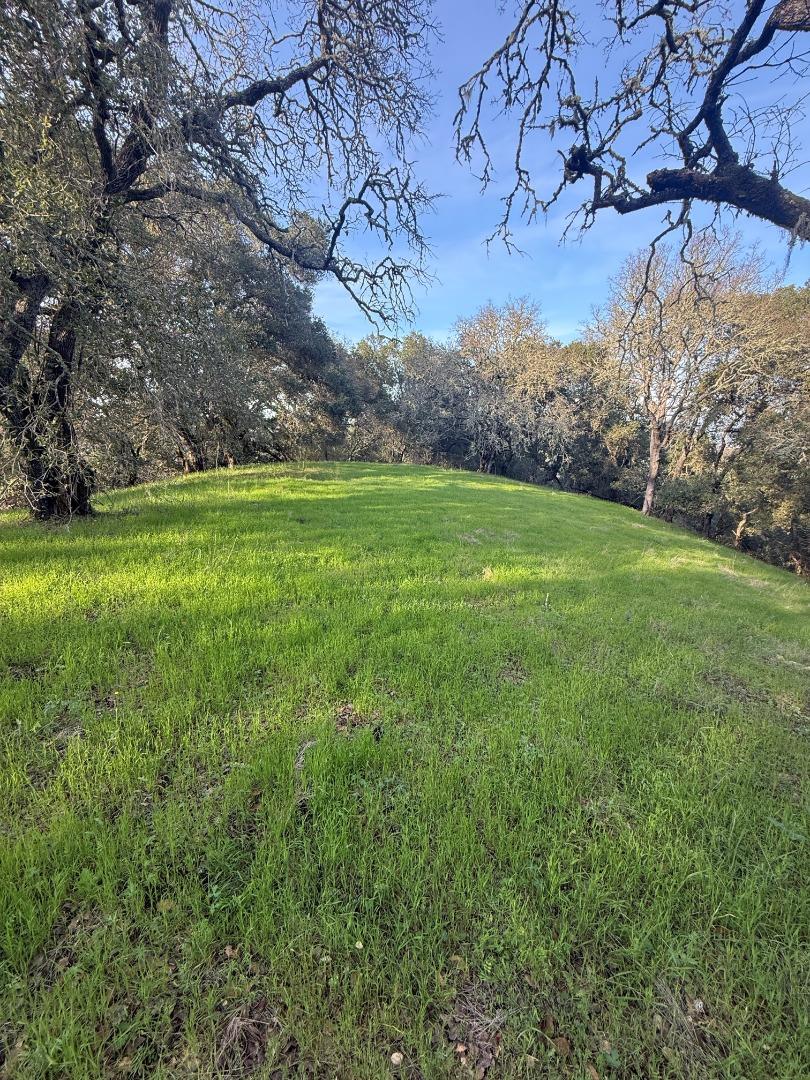 0 Chesbro Lake Drive