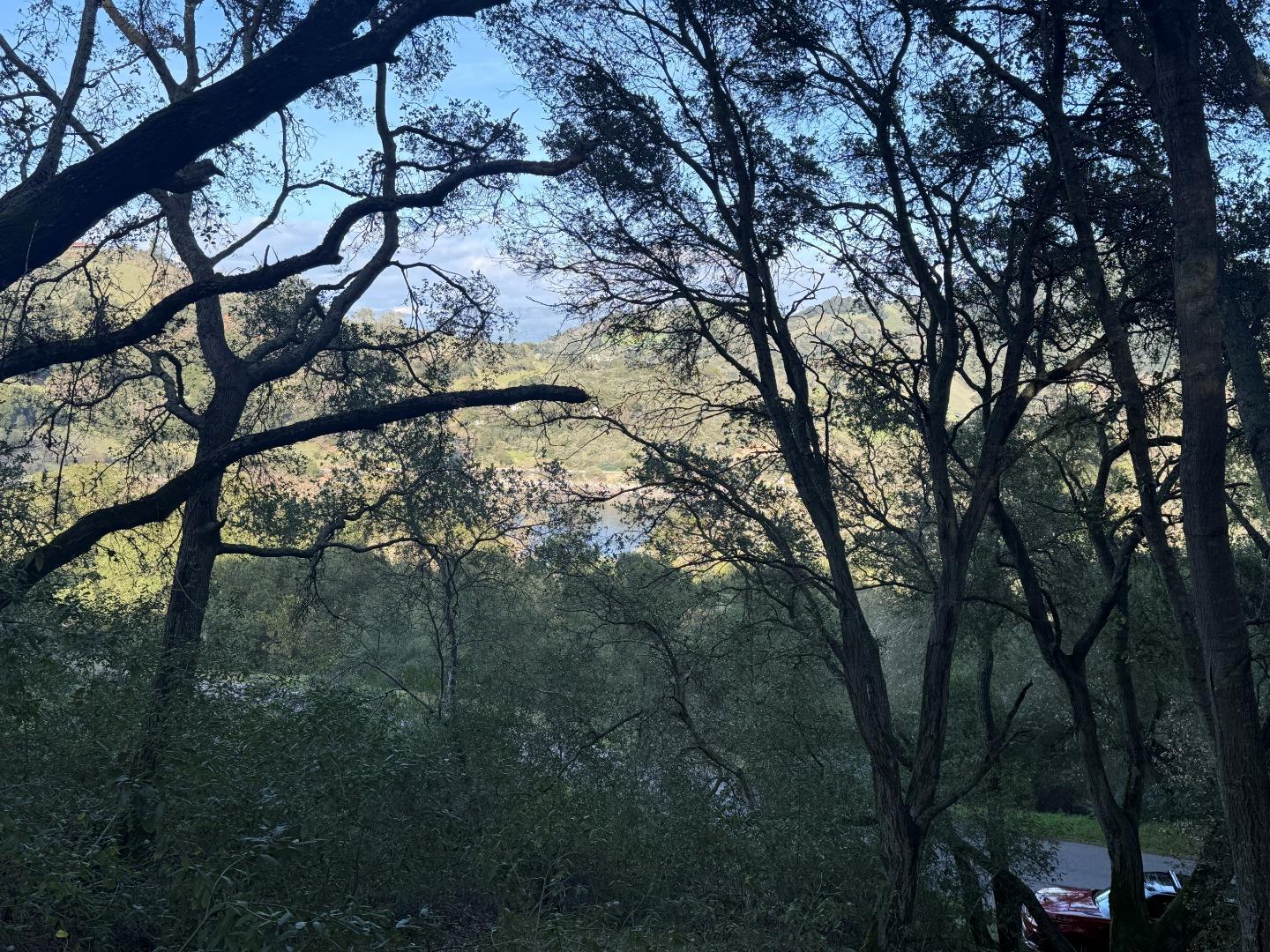 0 Chesbro Lake Drive