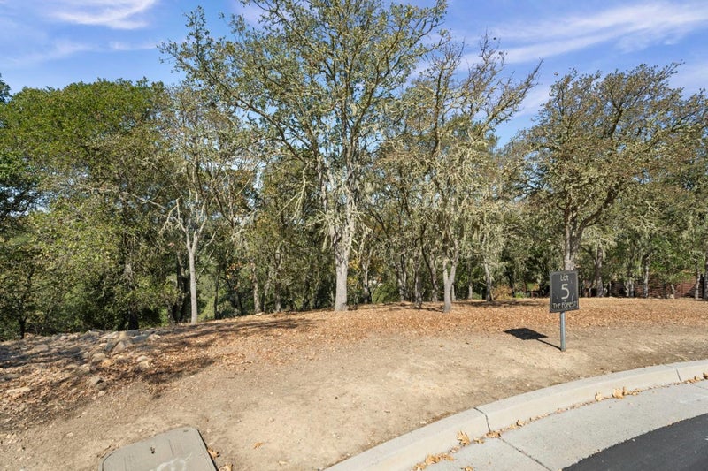 8351 Winter Green Court