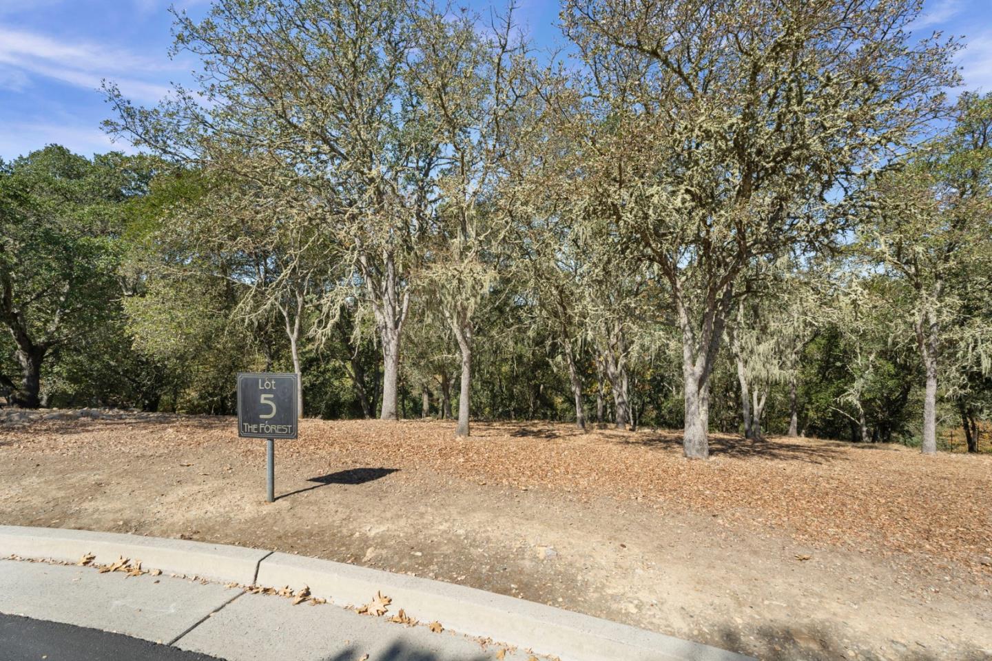 8351 Winter Green Court