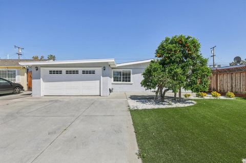 Photo of 1370 Cathay Drive, San Jose, CA 95122 (MLS # ML82041414)