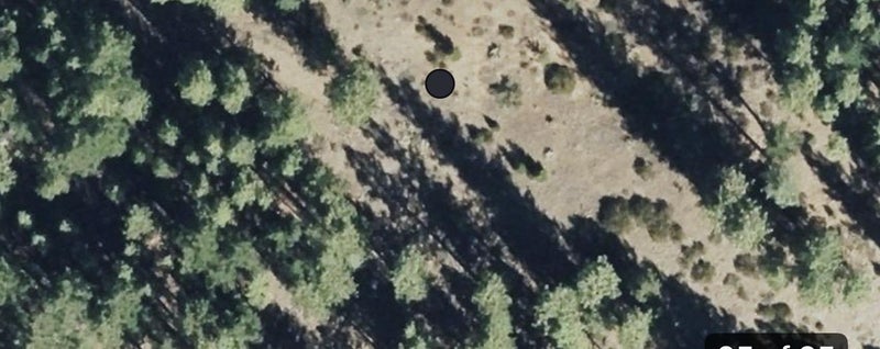 976 Moon Shadow