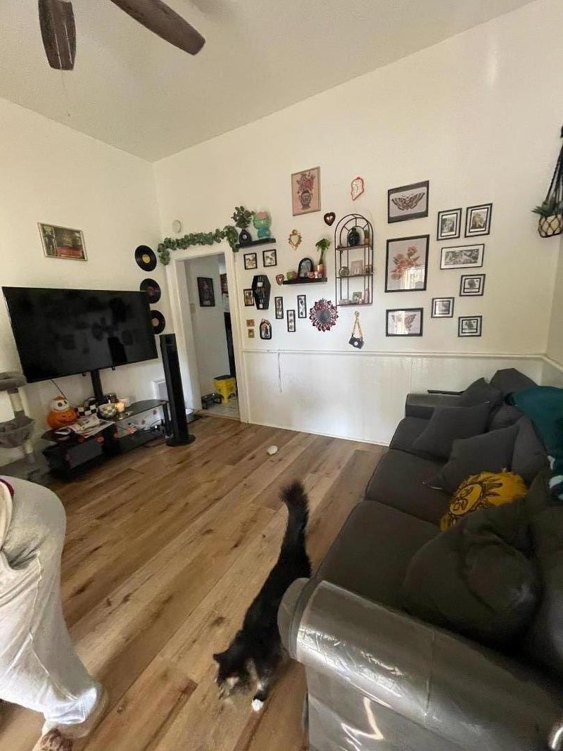 388 South 19th Street