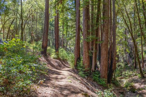 Tiny photo for 1480 Hillside Drive, BOULDER CREEK, CA 95006 (MLS # ML82020876)