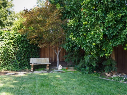 Tiny photo for 2286 Lansford Avenue, SAN JOSE, CA 95125 (MLS # ML82060103)