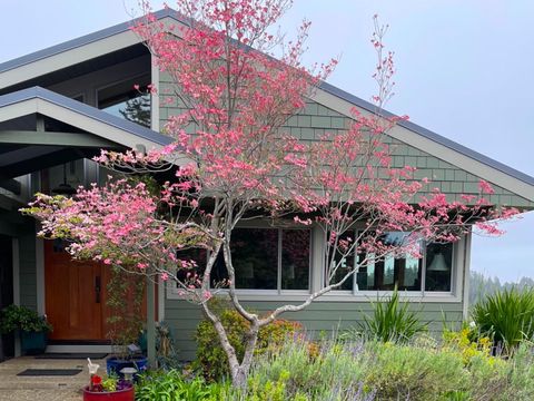 Photo of 1584 Tindall Ranch Road, CORRALITOS, CA 95076 (MLS # ML82030844)