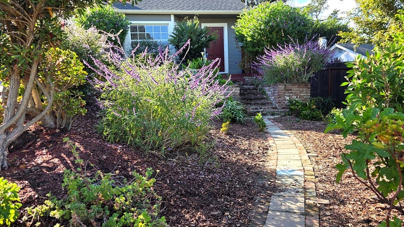 822 Fountain Avenue