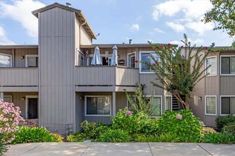 Tiny photo for 3489 Wine Barrel Way, SAN JOSE, CA 95124 (MLS # ML82025811)