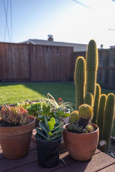 Tiny photo for 3276 Andora Drive, SAN JOSE, CA 95148 (MLS # ML82029285)