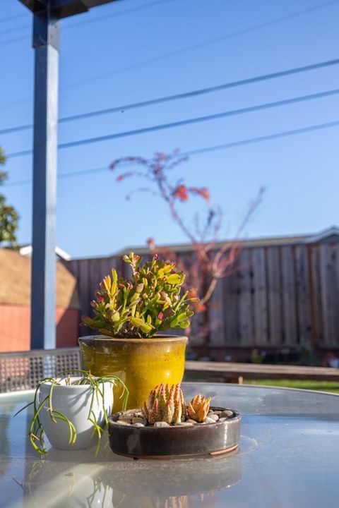 Tiny photo for 3276 Andora Drive, SAN JOSE, CA 95148 (MLS # ML82029285)