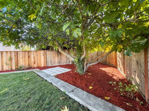 Tiny photo for 785 Aaron Park Drive, MILPITAS, CA 95035 (MLS # ML82027211)