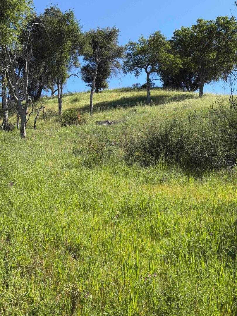 109 Trampa Canyon Road