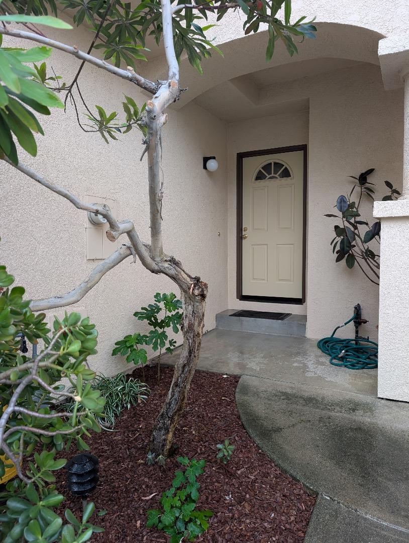 62 Washington Square Drive