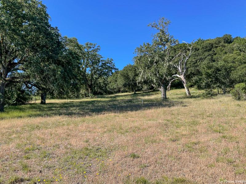 34221 Robinson Canyon Road