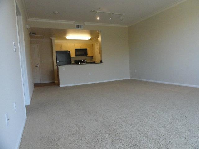 1550 Technology Drive 4059