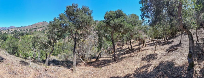 13 Rancho El Robledo