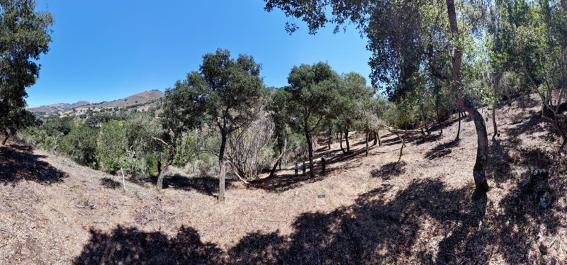 13 Rancho El Robledo