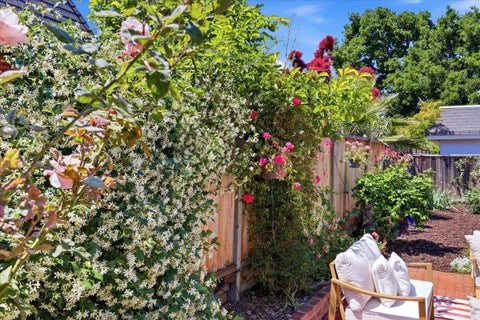 Tiny photo for 1689 Luika Place, Campbell, CA 95008 (MLS # ML82055442)