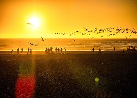 Tiny photo for 1013 Camino Pablo, SAN JOSE, CA 95125 (MLS # ML82025406)