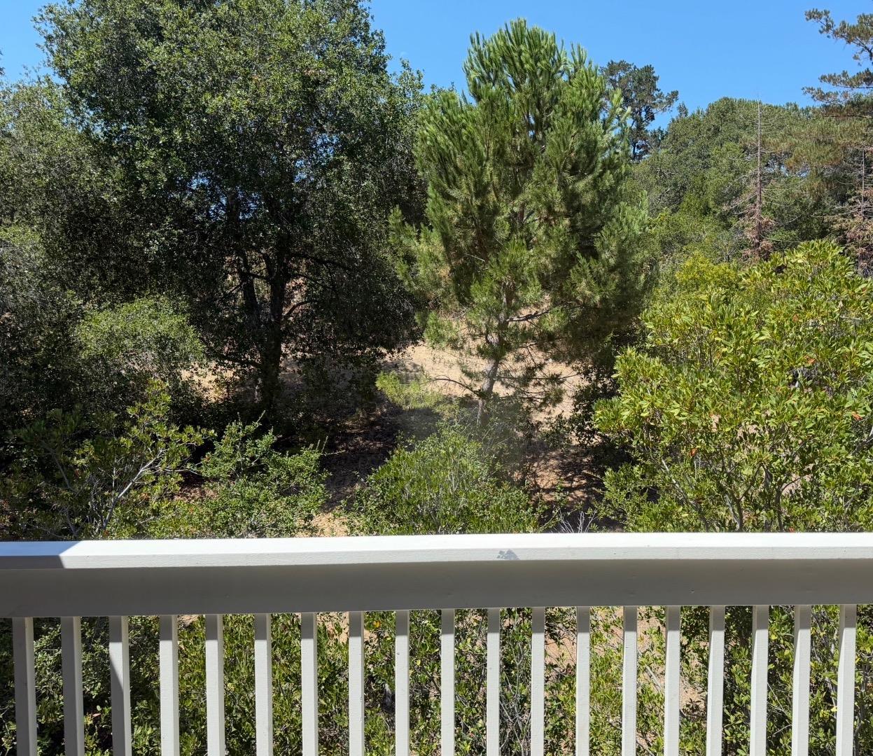 675 Sharon Park Drive