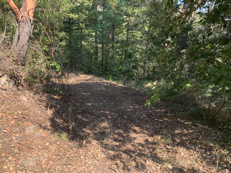 950 Middleton Drive